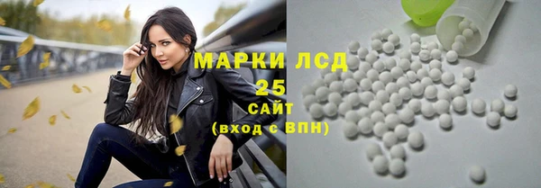 шишки Алексин
