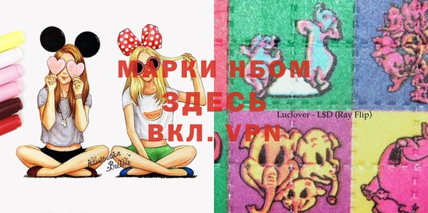 шишки Алексин