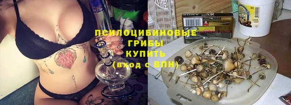 шишки Алексин