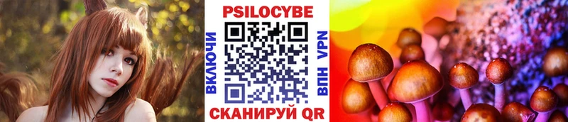 мега зеркало  Нюрба  Галлюциногенные грибы Psilocybe 